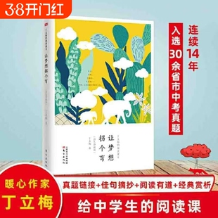 正版全新现货速发图书让梦想拐个弯丨丁立梅经典散文集殷建坤出版社阅读写作岁月