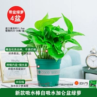 120#GALLON Ранний боксер [4] POT +5 удобрения 1