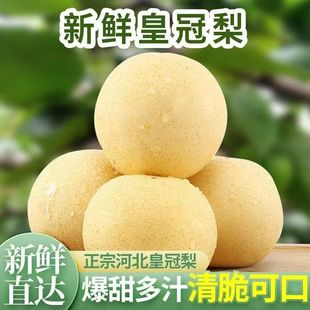 白皇冠梨新鲜水果脆甜现摘脆薄皮肉细多汁应季脆梨包邮