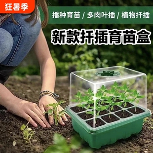 园艺育苗盆三件套花盆塑料扦插盆穴盘气闷养12孔培育盒育苗箱插土