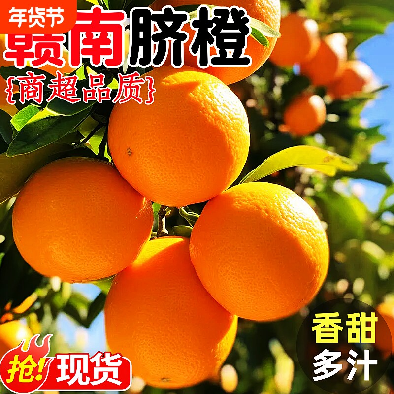 江西赣南脐橙橙子新鲜甜果冻冰糖手剥橙整箱9斤包邮年货节大果
