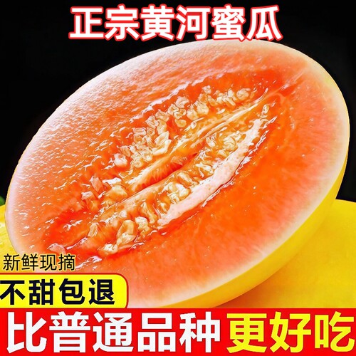 正宗黄河蜜瓜沙漠黄金脆香瓜现摘当季新鲜水果甜瓜哈密瓜整箱包邮