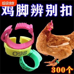 鸡脚环自动卡扣鸡做记号防走失家禽走兽识别扣环鸟用脚环调节标记