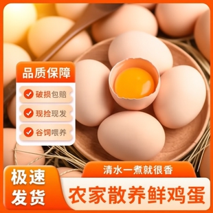林下散养农村土鸡蛋无抗富硒笨鸡蛋溜达鸡五谷虫草蛋新鲜现捡现发