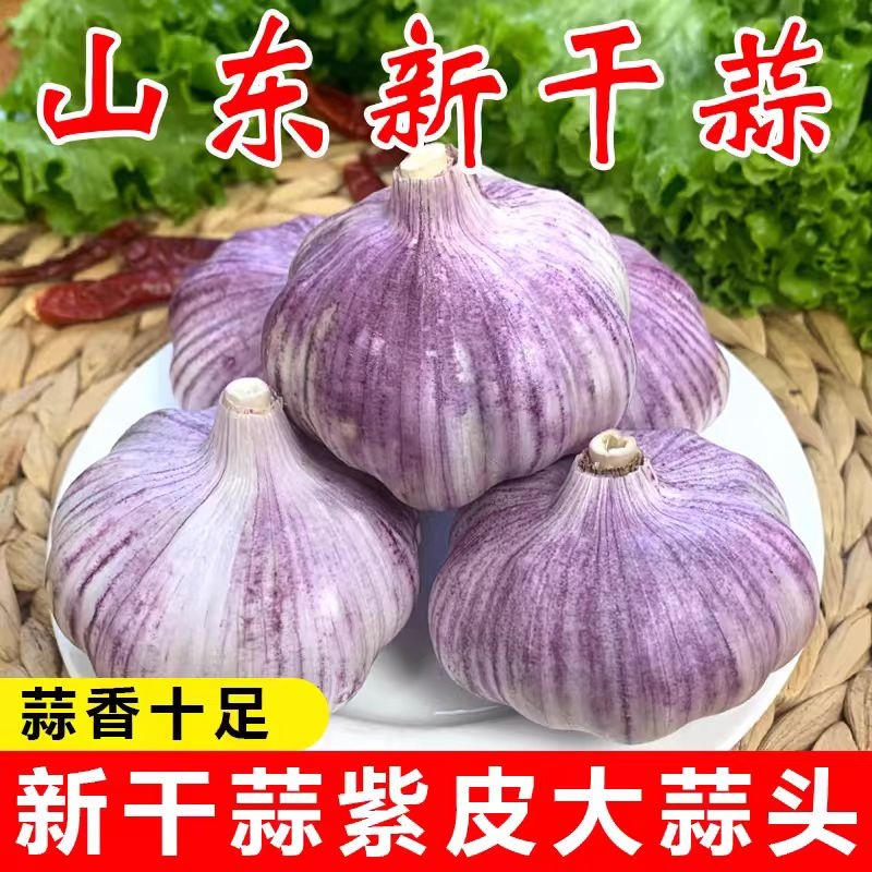 紫皮大蒜农家大蒜头干蒜金乡大蒜5斤紫皮蒜蒜炒菜蔬菜包邮