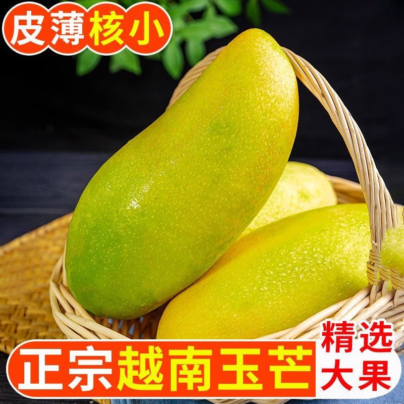 【优质】越南高山玉芒东南亚芒果新鲜现摘当季芒果整箱非贵妃芒甜