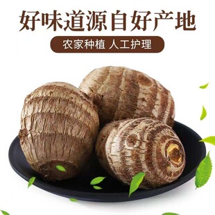现挖云南牛奶芋头毛芋头芋艿香芋新鲜农家正宗芋仔蔬菜山药皮薄