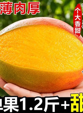 正宗凯特芒果新鲜水果现摘精品