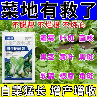 白菜病菌清专用药大白菜防烂心烂根软腐杀菌剂全清叶P防腐黄叶