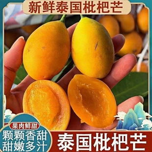泰国枇杷芒新鲜迷你小芒果3斤装香甜芒孕妇小孩新鲜水果顺丰包邮