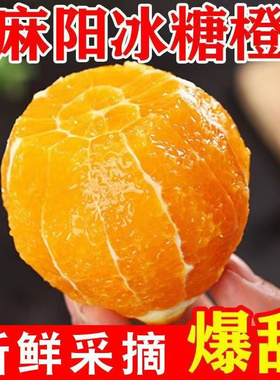 正宗怀化麻阳冰糖橙新鲜橙子当季水果手剥果冻甜橙鲜果多规格