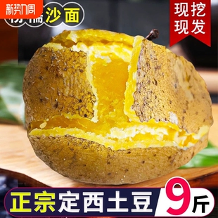 甘肃定西土豆洋芋新鲜现挖甘肃土豆马铃薯农家种净重5斤9斤高淀粉