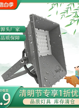 德国品质插电LED投光灯射灯户外工地移动超亮强光灯探照灯施工维