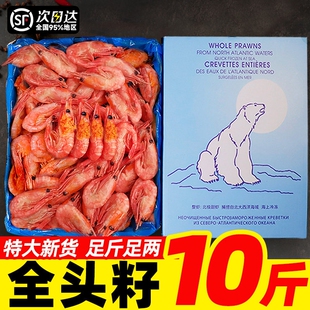 北极甜虾头籽北极熊甜虾刺身北极虾腹籽特大号冰虾即食熟冻元宝虾