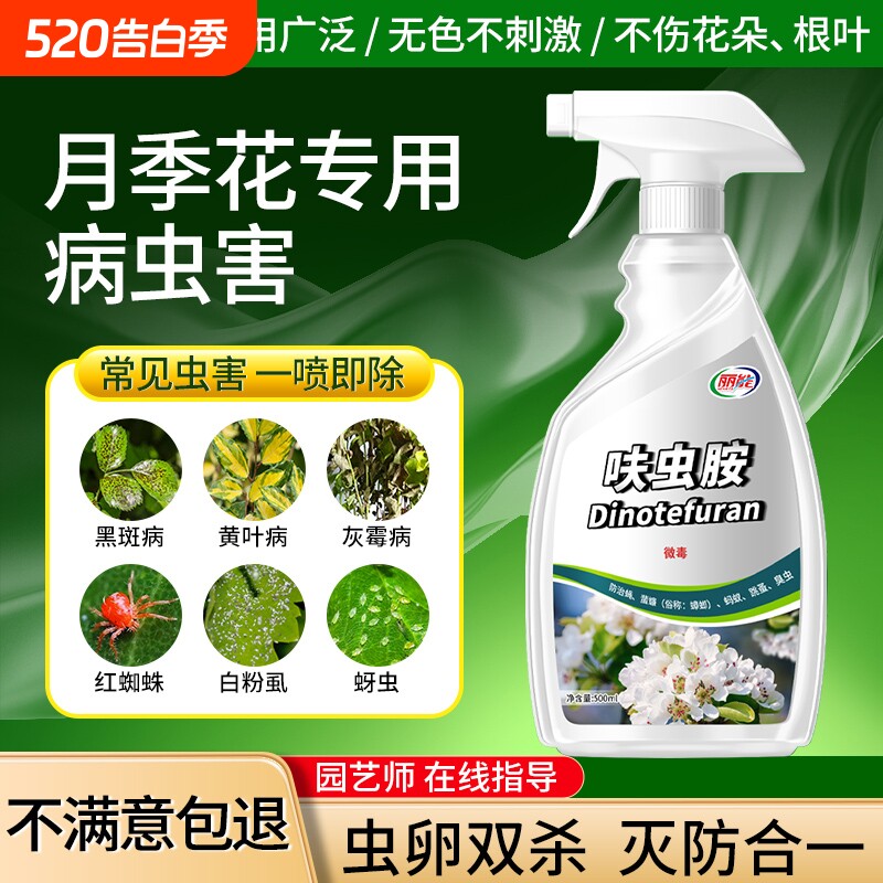 杀虫药呋虫胺植物杀虫剂花卉月季花病虫害除蚜虫非红蜘蛛绿植专用