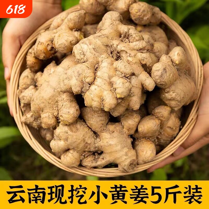 现挖新姜云南高山小黄姜当季农家新鲜种植现发籽姜辛辣食用年货节