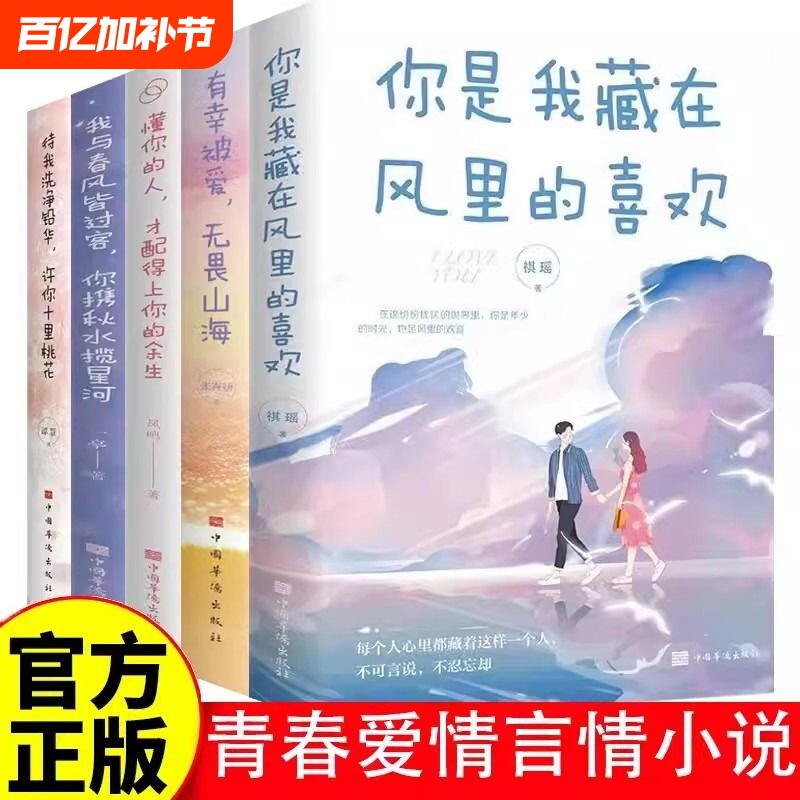 青春爱情言情小说书籍你是我风里的有幸被爱无畏山海懂你的人才配得上