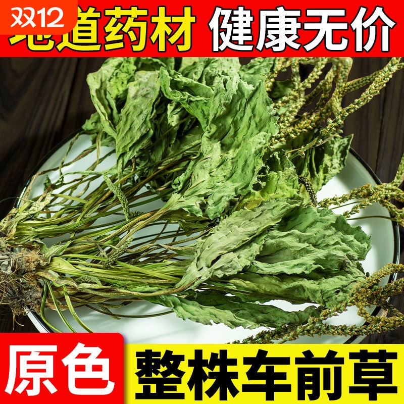 野生车前草干货正品|千人加购