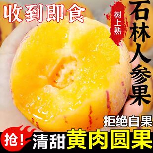 云南石林人参果新鲜采摘当季水果大果4.5斤圆果包邮树上熟