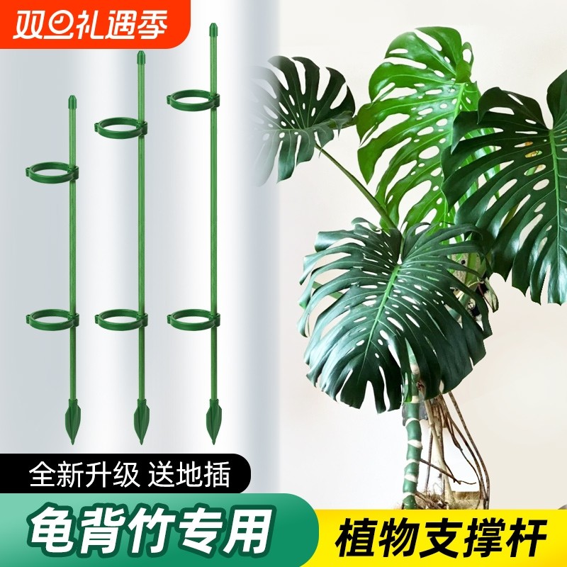 园艺支撑杆花架固定器龟背竹花支架固定花神器植物花杆爬藤防倒伏