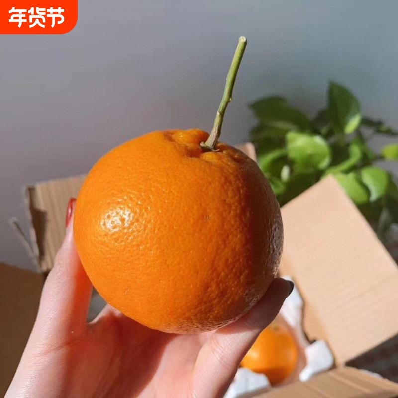 四川春见粑粑柑眉山丹棱橘子桔子5斤9斤孕妇新鲜水果,水产肉类/新鲜蔬果/熟食,桔子,淘宝优惠券,粉丝福利购,淘宝优惠卷