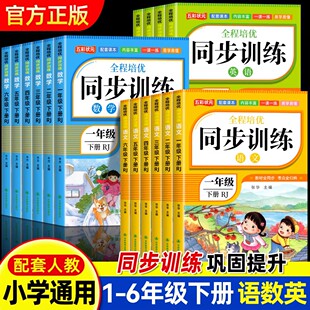 一二三四五六年级上下册同步练习册语文数学英语人教版1-6年级一课一练小学部编版练习册练习测试课本随堂专项同步训练习册