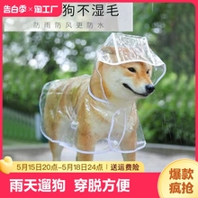 狗狗雨衣宠物透明雨披柯基泰迪柴犬小型犬金毛中型犬雨天防水神器