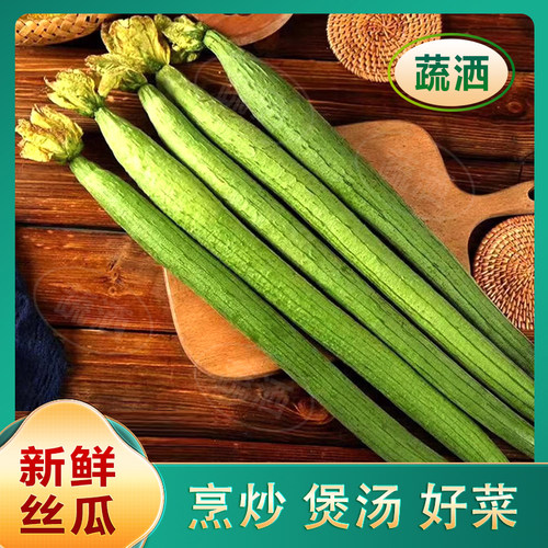 丝瓜新鲜长丝瓜绿皮丝瓜当季线丝瓜农家自种山东寿光批发绿色蔬菜