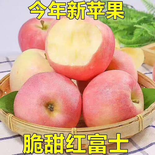 山西红富士高原种植脆甜爆汁