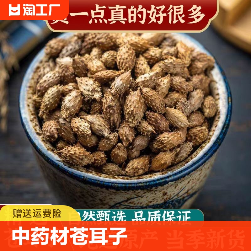 生苍耳子500克苍耳中药材仓耳子苍耳子茶泡脚中草药泡水