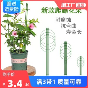 爬藤花架支架绿萝蟹爪兰月季铁线莲花卉阳台植物支撑架花撑子架子