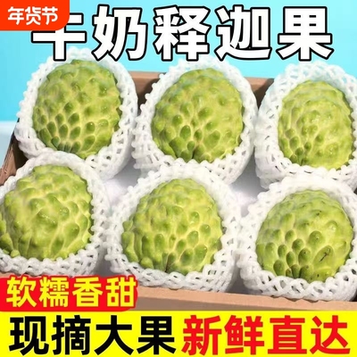 正宗攀枝花牛奶凤梨释迦果鲜甜软糯奶香番荔枝新鲜摩尼果产地直发