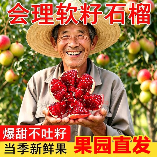 四川会理正宗突尼斯软籽石榴新鲜9斤大果纯甜产地直发整箱包邮