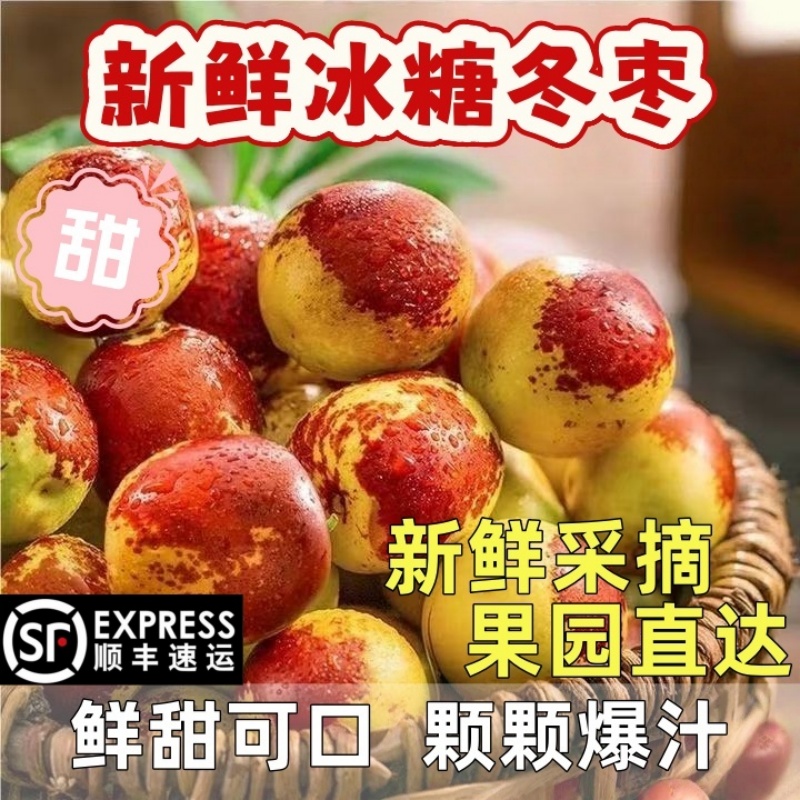 顺丰包邮正宗冬枣新鲜大果应季整箱枣子现摘脆枣冰糖大枣当季水果