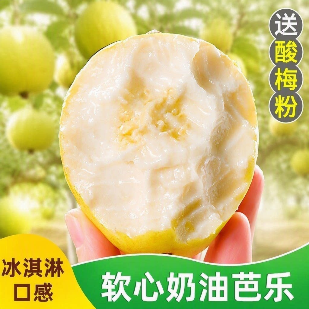 广东新鲜黄金奶油芭乐冰激凌软糯番石榴低糖孕妇水果大果果酱软心