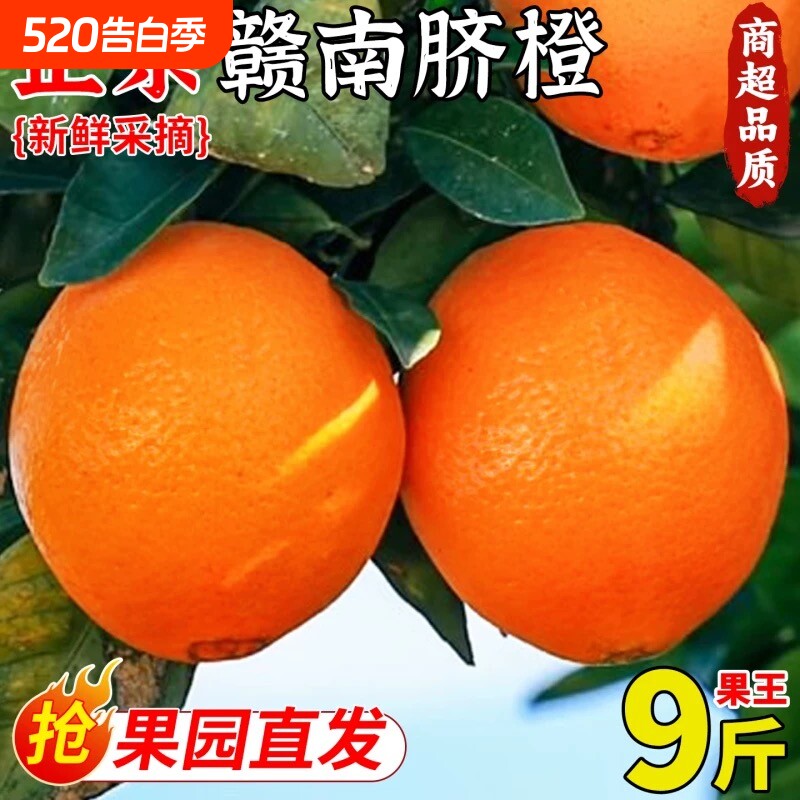 正宗赣南脐橙当季新鲜橙子应季甜橙多汁薄皮大果寻乌脐橙果园年货