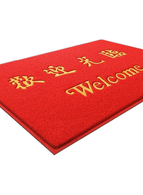塑料丝圈防滑门垫|超6000次加购