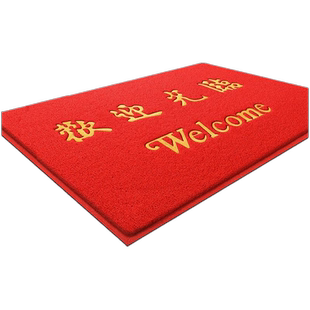 欢迎光临门口地垫门垫进门脚垫酒店丝圈塑料公司入户地毯防滑防水