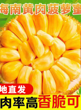 正宗海南菠萝蜜一整个新鲜水果包邮当季三亚干苞黄肉波罗密整箱