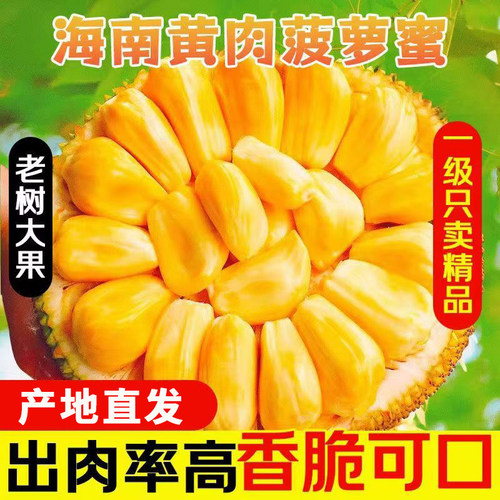 正宗海南菠萝蜜一整个新鲜水果包邮当季三亚干苞黄肉波罗密整箱