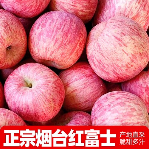 正宗山东烟台红富士苹果当季红苹果脆甜新鲜薄皮水果整箱