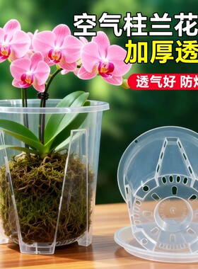 蝴蝶兰专用花盆透明控根塑料透气加厚兰花高端青山托盘空气柱高透