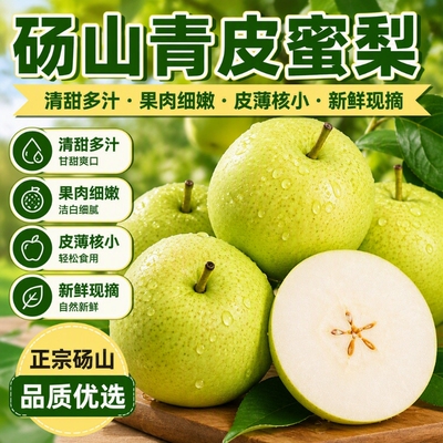 砀山青梨5斤包

备注|101人收藏