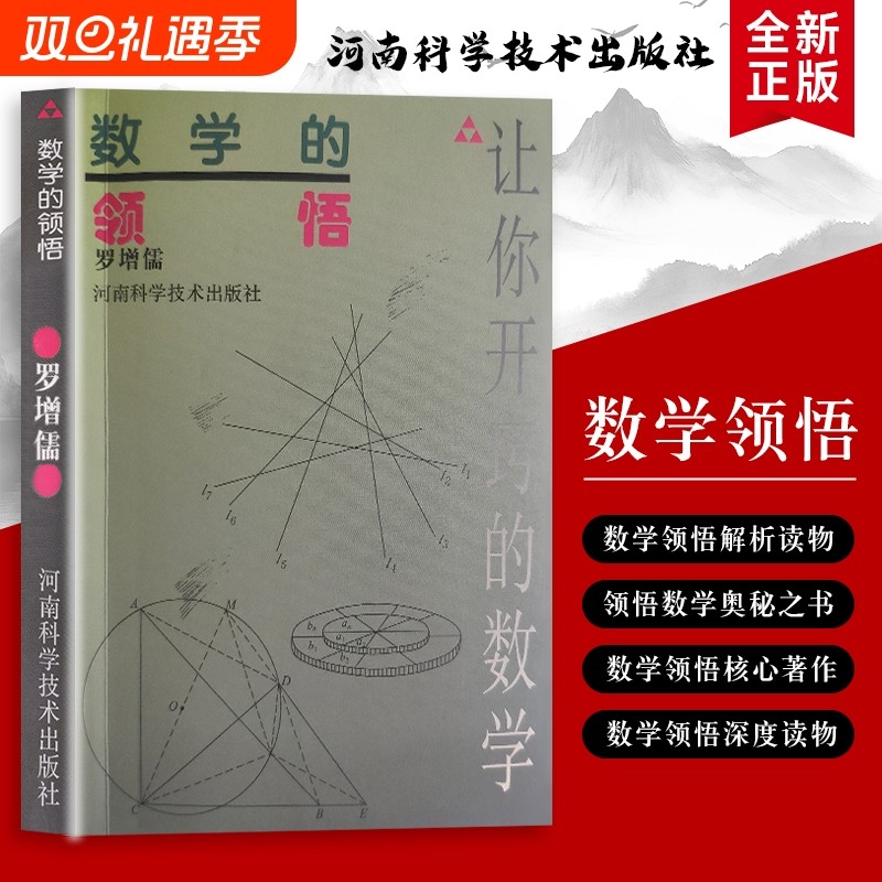 全新正版 数学的领悟：从算题困惑到规律通透  解锁数学思维的底层