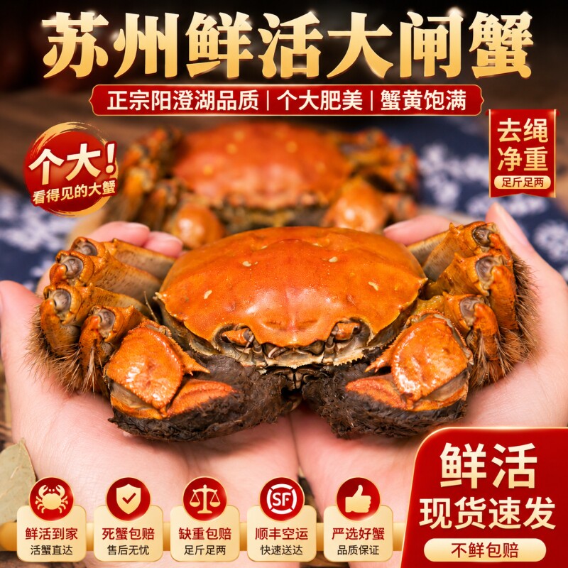 苏州精品大闸蟹鲜活螃蟹净重公5两可全母4两10只中秋高端礼盒装
