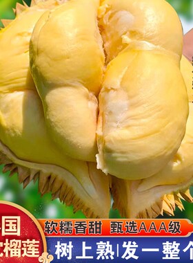 金枕榴莲泰国进口鲜果整一个带壳应季新鲜巴掌果当季树熟农场优选