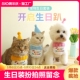 扮饰品 宠物狗狗猫咪生日围嘴兜帽子口水巾泰迪柴犬拍照可爱道具装