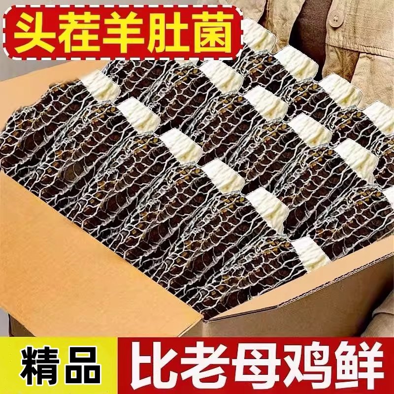 新鲜野生菌羊肚菌干货特产肉厚蘑菇松茸竹荪牛肚菌煲汤旗舰店新