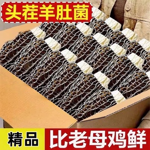 新鲜野生菌羊肚菌干货特产肉厚蘑菇松茸竹荪牛肚菌煲汤旗舰店新