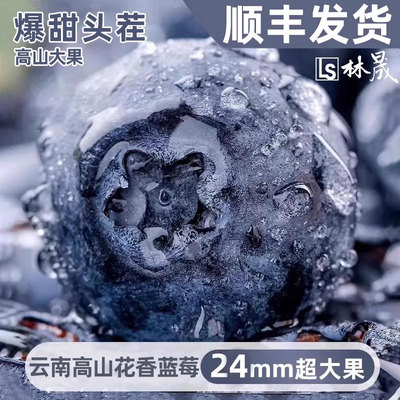 云南高山花香蓝莓头茬鲜果特大果怡佳颗沃应当季水果整箱顺丰
